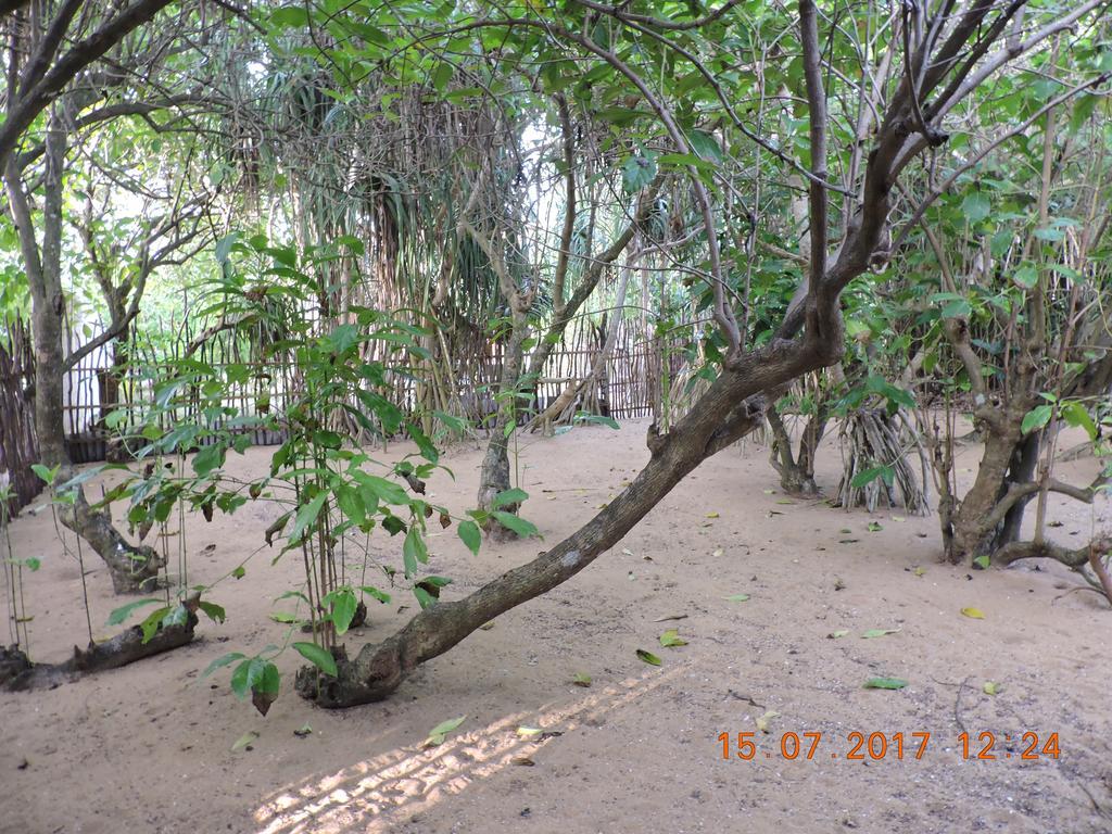 Akain Villa Dodanduwa Luaran gambar