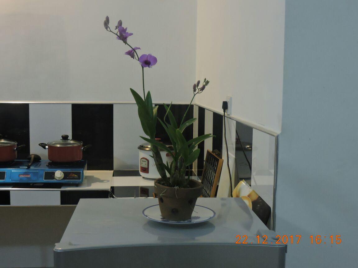 Akain Villa Dodanduwa Luaran gambar