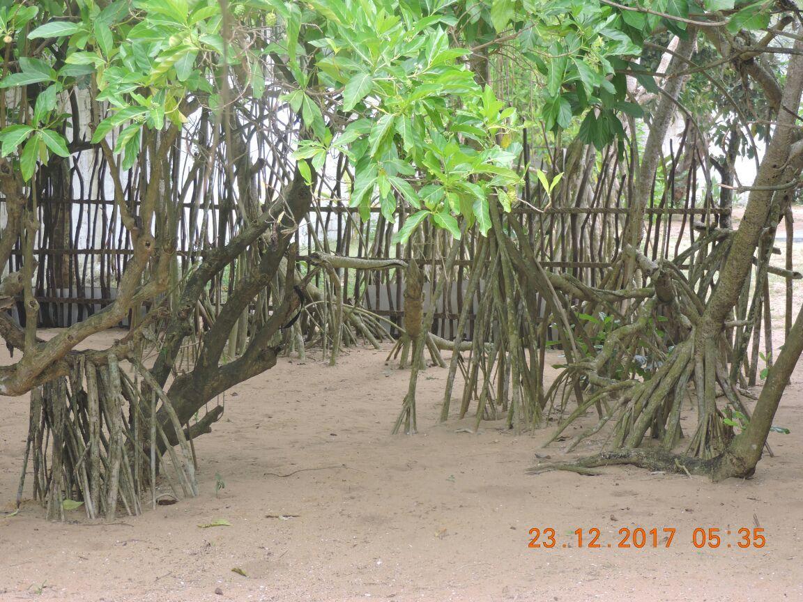 Akain Villa Dodanduwa Luaran gambar